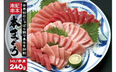本マグロ トロ&赤身セット240g(養殖)[7月発送]濃厚な赤身と高級部位トロの鮪好きにはたまらないセット [串本町×北山村] 高級 クロマグロ[nks113-7]