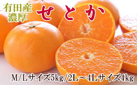 一度は食べていただきたい「有田産のせとか」約4〜5kg(サイズおまかせ)※2026年2月中旬〜2026年3月上旬頃に順次発送[tecj1024]
