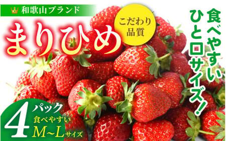 [先行予約]まりひめイチゴ4パック 食べやすいひと口サイズ M〜L(15粒〜20粒入×4パック)[2026年1月初旬〜3月下旬頃に順次発送](お届け日指定不可)/ いちご 苺 まりひめ 和歌山 フルーツ[kgr034]