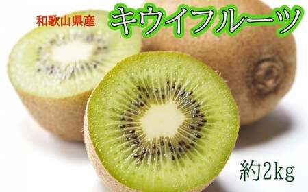 和歌山県産キウイフルーツ約2kg(サイズ混合)※2026年11月下旬〜2027年2月下旬頃に発送[tecj1039]