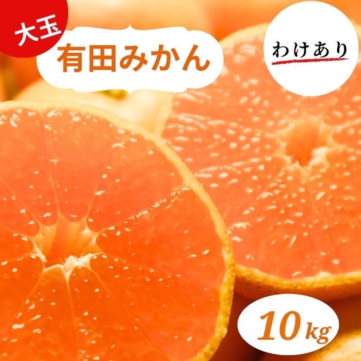 和歌山県産 有田みかん 大玉10kg 2L～3L 訳あり※2026年10月中旬～2027年1月中旬頃に順次発送予定【smt009】