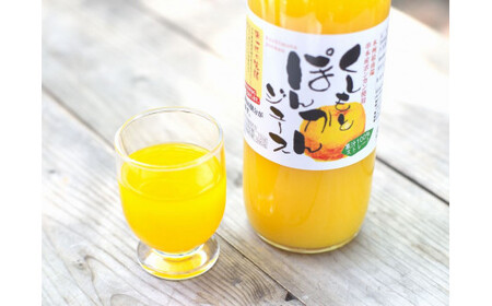 [ふるさと納税]果汁100%!くしもとポンカンジュース 900g ×3本 無添加 果肉入りストレートジュース / ドリンク 柑橘 ぽんかん フルーツ みかん ミカン オレンジ 限定 和歌山[sse206B]