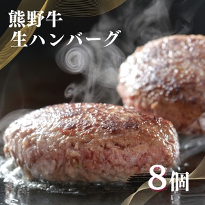 特選黒毛和牛 熊野牛 生ハンバーグ8個[mtf106A]