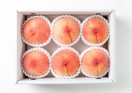 【先行予約受付】和歌山県産の美味しい桃 約2kg （6〜9玉入り）【2023年6月中旬頃から順次発送予定】 和歌山 もも モモ 桃 ギフト 贈り物 プレゼント 夏ギフト 果物 フルーツ 人気 産地直送