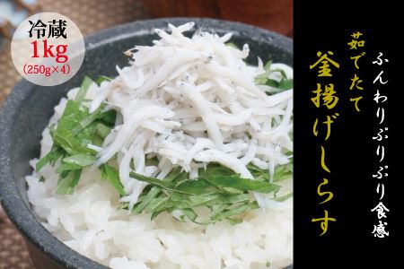 茹でたて釜揚げしらす 1kg(250g×4パック)[冷蔵] 無添加・無着色 しらす シラス 釜揚げ 小分け 冷蔵[mar101]