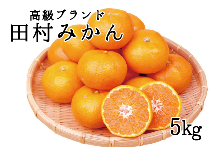 高級ブランド田村みかん　5kg【予約】※2024年11月下旬頃〜2025年1月下旬頃に順次発送予定(お届け日指定不可)【uot504】