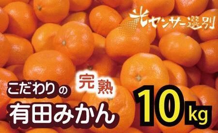 y2025N11\񕪁z_ZT[Iʁ^ y_ƒzyƒpz̗Lc݂ 10kg{250g(ݕ⏞) L@엿100% TCY y11z ynuk101-11Az