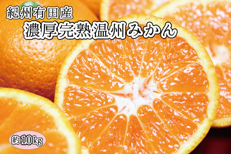 完熟有田みかん 10kg ※2024年11月下旬頃〜2025年1月下旬頃に順次発送予定(お届け日指定不可)[uot705]