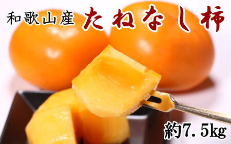 [秋の味覚]和歌山産のたねなし柿約7.5kg(L〜4Lサイズおまかせ) ※2025年10月上旬〜2025年11月上旬頃に順次発送[tec402B]