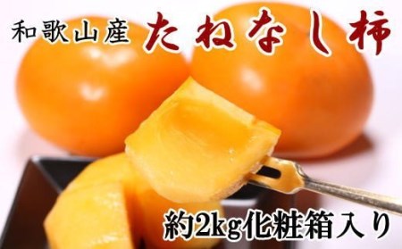 [秋の味覚]和歌山産のたねなし柿2L〜4Lサイズ約2kg(化粧箱入り)※2024年10月上旬〜2024年11月上旬頃に順次発送[tec408]