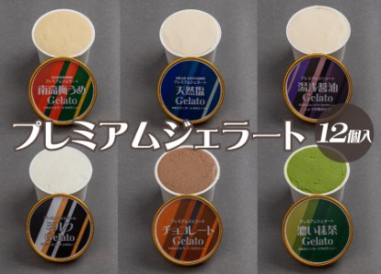 プレミアムジェラート 詰め合わせセット(6種類×2個) アイスクリームセット 100mlカップ ゆあさジェラートラボラトリー[kstb701]