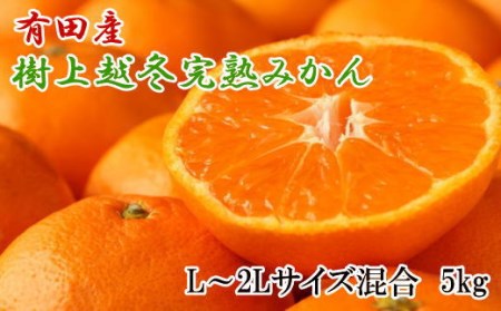 [濃厚・まろやか]有田産樹上越冬完熟みかん5kg(L〜2Lサイズ混合・赤秀) [tec874A]