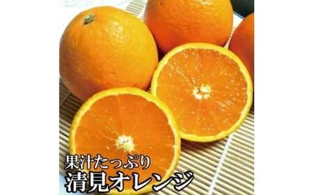 _ZT[Iʁ^ y_ƒzʏ`ՂIIW 5kg L@엿100%@ TCY@2026N3{菇\i͂wsjynuk112Bz
