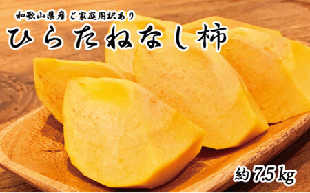 yƒp킯za̎RH̖o@j`iЂ炽˂Ȃj 7.5kg@2025N10{`2025N10ɏi͂wsjyuot718Az