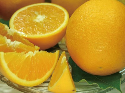 oVAIW[7kg]󒬓cYt݂t񂫂(IʁEʎTCY)@2026N6{`7{ɏykstb490Bz