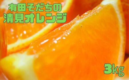 [2025年2月下旬〜3月下旬順次発送予定]有田育ちの完熟清見オレンジ(ご家庭用) 約3kg[ard016A]