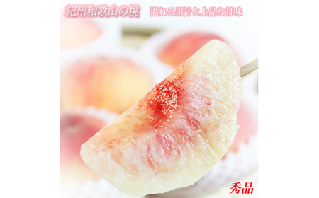 Gi@IBa̎RY̓@3ʁ@ϔ@2026N6{?2026N8{i͂wsjyuot750z