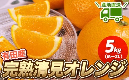 [先行予約] ＼ みかんの名産地 和歌山県産/ 農家直送 完熟清見オレンジ 5kg (M〜2Lサイズおまかせ) ひとつひとつ手選別で厳選[2025年3月中旬〜4月下旬ごろに順次発送予定][hdm003A]