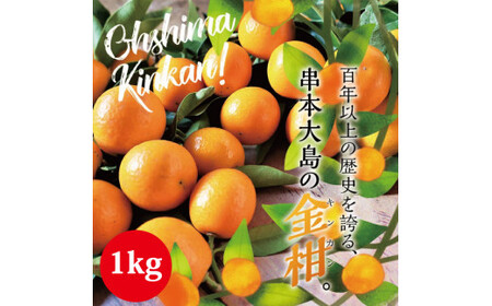 [フルーツ王国 和歌山県からお届け]串本大島のキンカン 1kg (2L〜L)※2026年3月より順次発送 金柑 きんかん 果実 フルーツ 国産 和歌山[jak101]