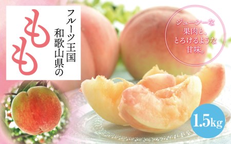 [数量限定][和歌山ブランド][厳選]和歌山のこだわり桃 約1.5kg(5〜6玉)[ard057C]