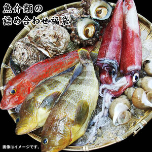 [1633]魚介類の詰め合わせ福袋(魚介類2〜4品程度入)