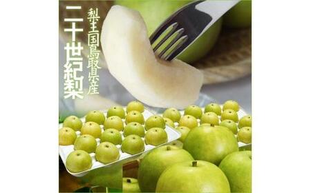 鳥取県産 二十世紀梨5kg【フォーシーズン】