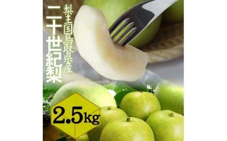 鳥取県産 二十世紀梨2.5kg 訳あり【フォーシーズン】