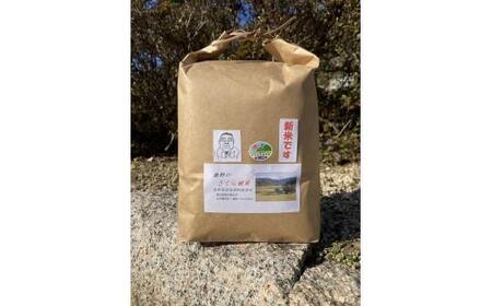 【定期便】2025年 新米定期便 鹿野のさくら姫米 3kg×全3回【10月・11月・12月】