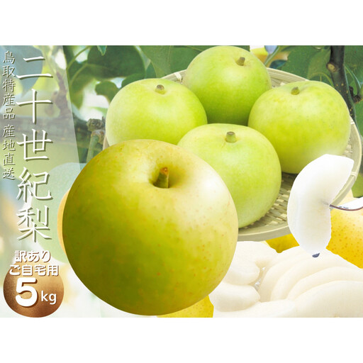 【数量限定】鳥取県産 梨 訳あり ご自宅用 二十世紀梨 5kg
