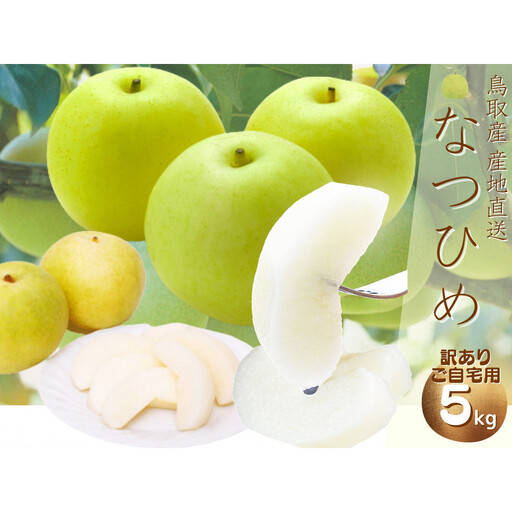 【数量限定】鳥取県産 梨 訳あり ご自宅用 なつひめ 5kg