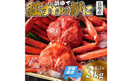 鳥取から直送! 釜茹で 紅ズワイガニ3kg(6〜7杯) 未冷凍[ボイル]
