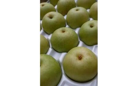 二十世紀梨 2.5kg[たにがみ農園]