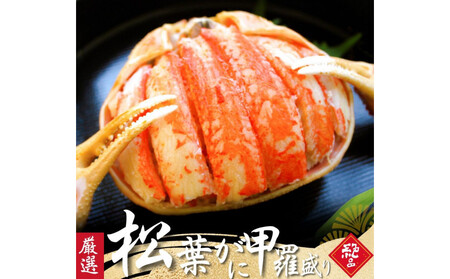 松葉がに 甲羅盛り 5個【11月中旬から入荷次第発送】