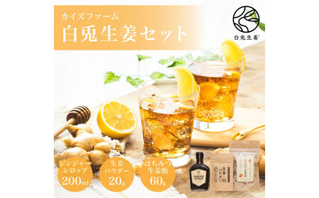 白兎生姜セット しょうが ショウガ 生姜 ジンジャー シロップ 生姜飴 生姜パウダー ふるさと納税 鳥取県 鳥取市 おすすめ カイズファーム ギフト