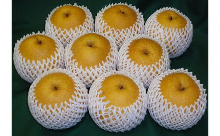 訳あり 王秋梨 5kg箱 (約6〜12玉)