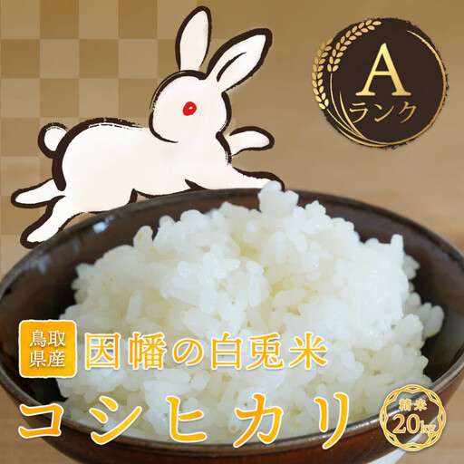 【令和8年度産】因幡の白兎米 コシヒカリ 精米済 20kg ( 5kg×4袋 )