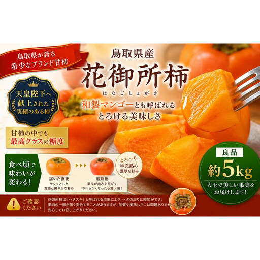 【先行予約】【鳥取市産・良品】花御所柿 約5kg｜甘柿最高クラスの糖度 追熟でとろける食感 和製マンゴーとも称される希少ブランド柿