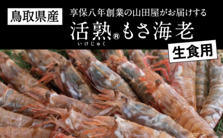 【582】鳥取県産　生食用もさ海老（山田屋）