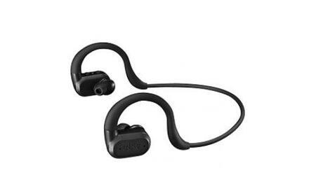 ダミー※ワイヤレス集音器 （able aid）のレビュー | ふるさと納税