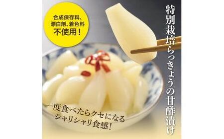 特別栽培らっきょうの甘酢漬（8袋セット）