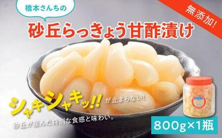 橋本さんちの砂丘らっきょう甘酢漬け 800g (瓶)