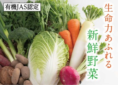 [1209]有機JAS認定 冬野菜とお米の詰め合わせセット