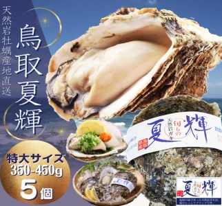 [1306]天然岩牡蠣(活)夏輝 350g-450g前後(特大サイズ) 5個セット(いまる)