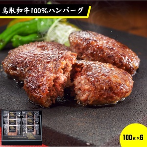 [大山物語]氷温🄬熟成 鳥取和牛100%手造りハンバーグ 100g×6[株式会社ホクニチ]ハンバーグ 和牛 