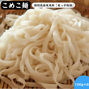 米粉100% こめこ麺 8袋