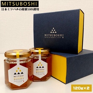 蜜星 -MITSUBOSHI- 日本ミツバチの蜂蜜100%使用 (120g×2本入りギフトセット)[天満屋選定品]