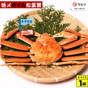 [タグ付き]活〆ボイル松葉蟹(大)冷蔵 「老舗 蟹専門店マルツ」