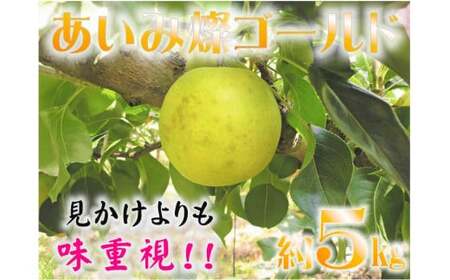 鳥取県産梨「あいみ燦ゴールド」5kg