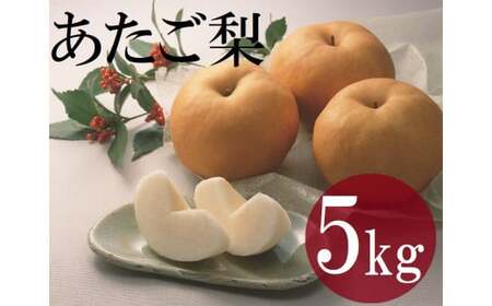鳥取県産梨「あたご梨」5kg