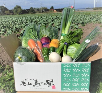 新鮮朝採れ野菜 お手頃セット